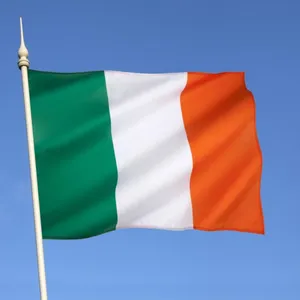 Sea, Air, Railway, and Truck Transportation Services From China to Ireland Amazon FBA Service thumbnail-1