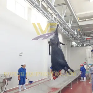 Turnkey 100 Cattle Per Shift Butcher Machine Abattoir Equipment Slaughterhouse for Cows and Lamb Meat Processing Machinery Plant thumbnail-1