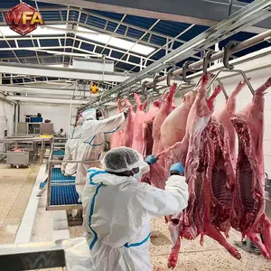 Industrial Pig Slaughter Turnkey Systems Factory 3D Design Service CE Certified Reliable Gear for Meat Production Plants No Reviews Yet thumbnail-4