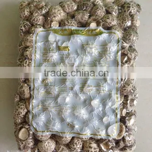 Dried Tea Flower Mushrooms thumbnail-6