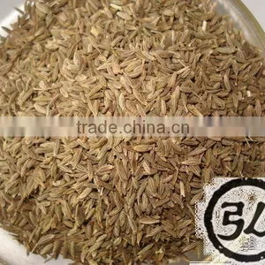 (xinjiang) Spice Cumin Seeds thumbnail-1