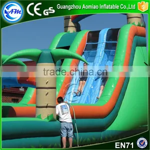 Funny Exciting Entertainment Inflatable Slip n Slide Giant Inflatable Water Slide Supplier's Choice thumbnail-3