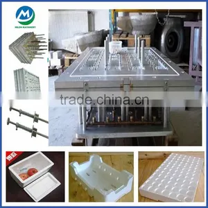 Best EPS Mould /EPS Mold for Grape Package Box/EPS Shape Moulding Machine Quality Choice thumbnail-1