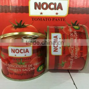 Tomato Paste 22/24 Concentration thumbnail-5
