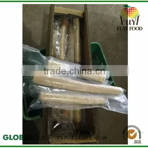 Plant Wild Yam thumbnail-1