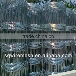Anping Factory Field Fence thumbnail-1