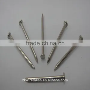Common Round Nail/ Wire Nails/wood Nails +86 15132140964 Wechat/whatsapp thumbnail-4