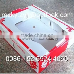 Corrugated PP Apple Packing Case Fruit Storage Carton Packaging Box thumbnail-6