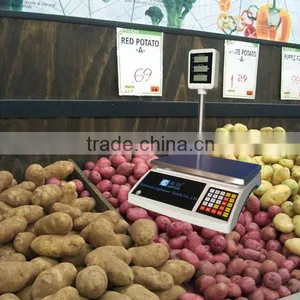 30kg*5g Price Computing Scale With Pole thumbnail-1