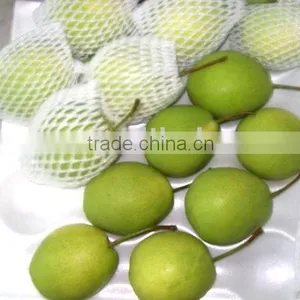 Shandong Pear thumbnail-1