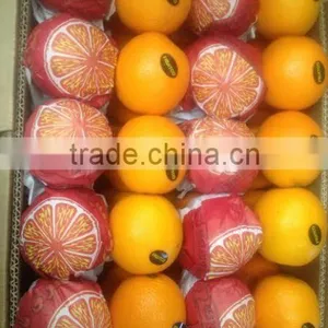 Egypt Orange thumbnail-1