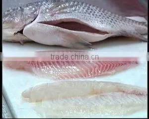 Frozen Gutted and Scaled Whole Tilapia thumbnail-1