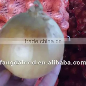 Fresh Round Shape Yellow Onion thumbnail-1