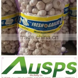 Fresh Chinese 3p Pure White Garlic thumbnail-1