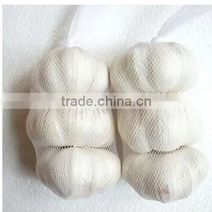 2015 New Crop Garlic thumbnail-1