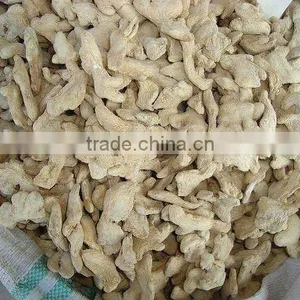 Ginger Flakes thumbnail-1