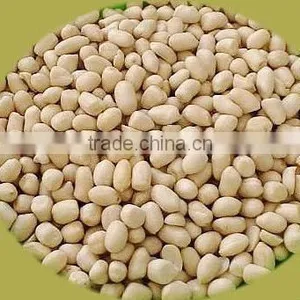 China Produce Authority Certification ISO9001 CE Blanched Peanut Kernels thumbnail-3