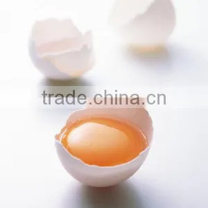 Egg Powder thumbnail-1