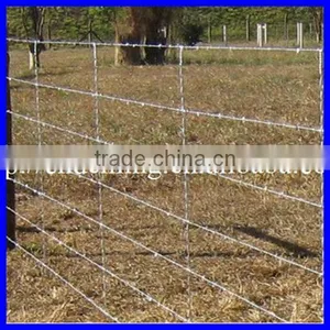 Single Twisted Barbed Wire 4 Barbs/galvanized Barbed Wire thumbnail-1