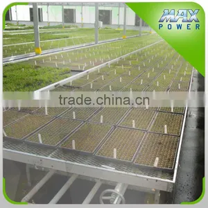 Good Quality Greenhouse Mobile Benches thumbnail-2