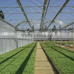 Agriculture Greenhouse Farming Equipment thumbnail-2