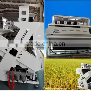 Rice, Grains, Seeds, Nuts CCD Color Sorter Machine thumbnail-1