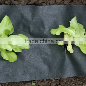 Black Plastic Ground Cover Mesh thumbnail-4