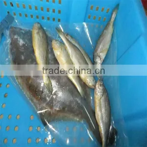 Silver Fish Seafood With Quailty Sea Fish Aqua thumbnail-1