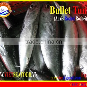W/R FROZEN BULLET TUNA thumbnail-1
