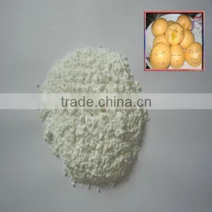 Sweet Baking Powder With Halal Certification Made in China thumbnail-1