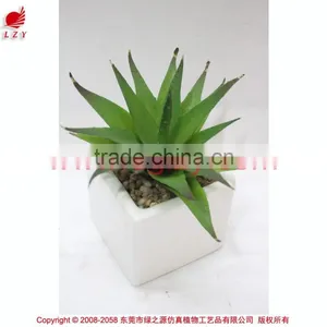 Artificial Mini Aloe Little Plants Succulents Plants Artificial Mini Succulents thumbnail-1