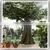 Factory Large Indoor Decor Artificial Fake Plastic Fiberglass Trees thumbnail-4