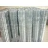 Welded Wire Mesh thumbnail-1