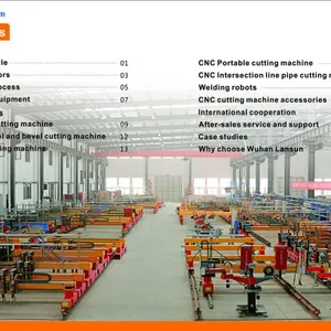 Wuhan Lansun Technology Co.,ltd company overview - view 1 thumbnail
