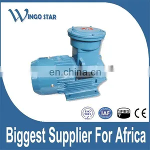 High Voltage Mining Explosion Proof ATEX Induction Electric Motor thumbnail-2