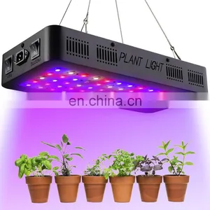 High Quality VEG Bloom Double Switch 600W Full Spectrum Led Indoor Light for Plant Grow Lamp thumbnail-5