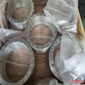 Spiral Wound Gasket With Outer Ring 304ss thumbnail-2