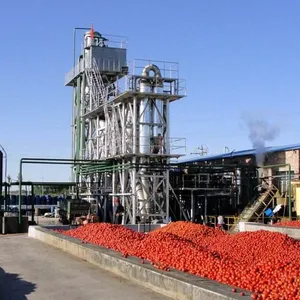 Shanghai Factory Tomato Pulp Making Machine/ketchup Making Machine thumbnail-4