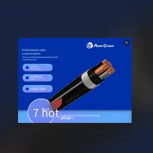 N2xy(swa) Power Cable With Xlpe Insulation and Steel Wire Braid Armoring, Certified With eu ce thumbnail-1
