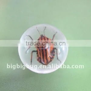 R25S23 Handmade Amber Marble thumbnail-1