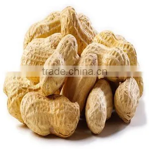 New Crop Roasted Peanut in Shell thumbnail-1