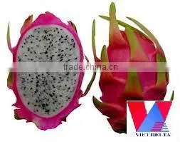 DRAGON FRUIT thumbnail-1