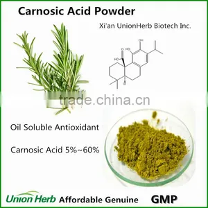 Oil Soluble Antioxidant Carnosic Acid Powder From Rosemary Extract thumbnail-1