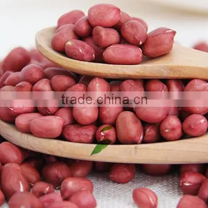 Commercial Electric Oil Press Machine Made in China thumbnail-5