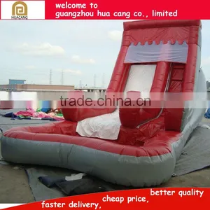 Brighted-color Durable Giant Water Slide Adult Slide for Fun thumbnail-4