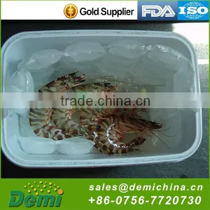 Hot Selling Cheap Custom Camping Ice Pack thumbnail-3