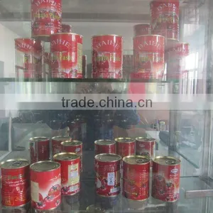 HOT!! 425g Spaghetti Tomato Pasta for Brand Sauce 28%-30% thumbnail-1