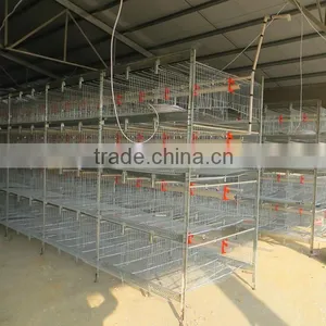H Type Automatic Chicken Cage thumbnail-1