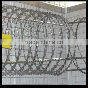 Straight Razor Wire (10 Years Factory) thumbnail-1