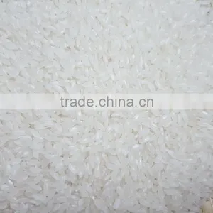 VIETNAMESE MEDIUM GRAIN WHITE RICE, 05% BROKEN thumbnail-1